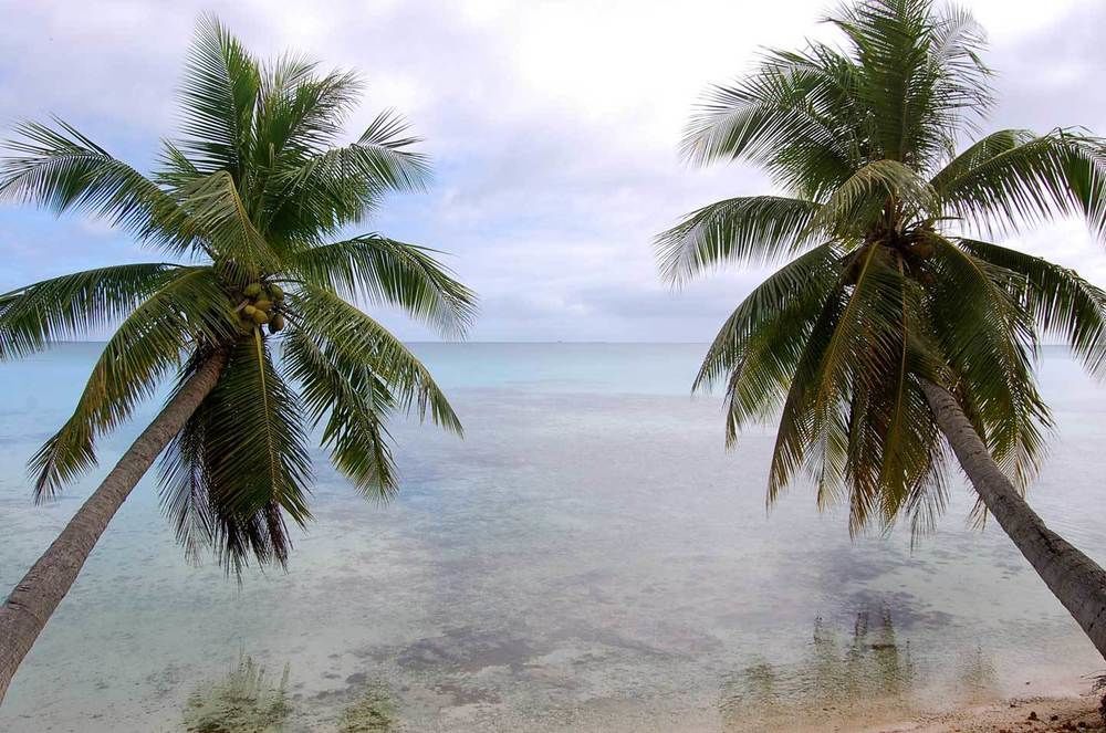 Pension Justine Tikehau Exterior photo